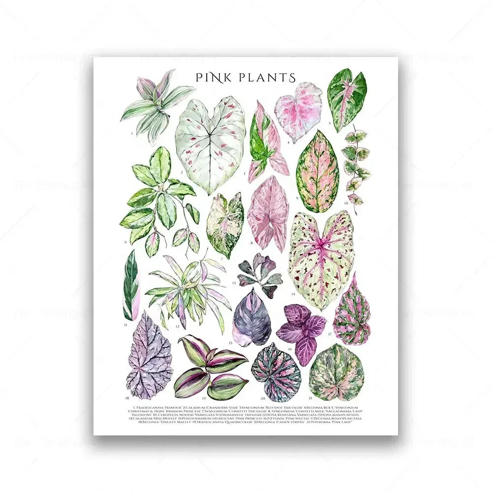 Botanical House Plant Canvas Painting Educational Poster Leaves Print Wall Art Picture Kids Room Decor Plant Lovers GiftBotanica