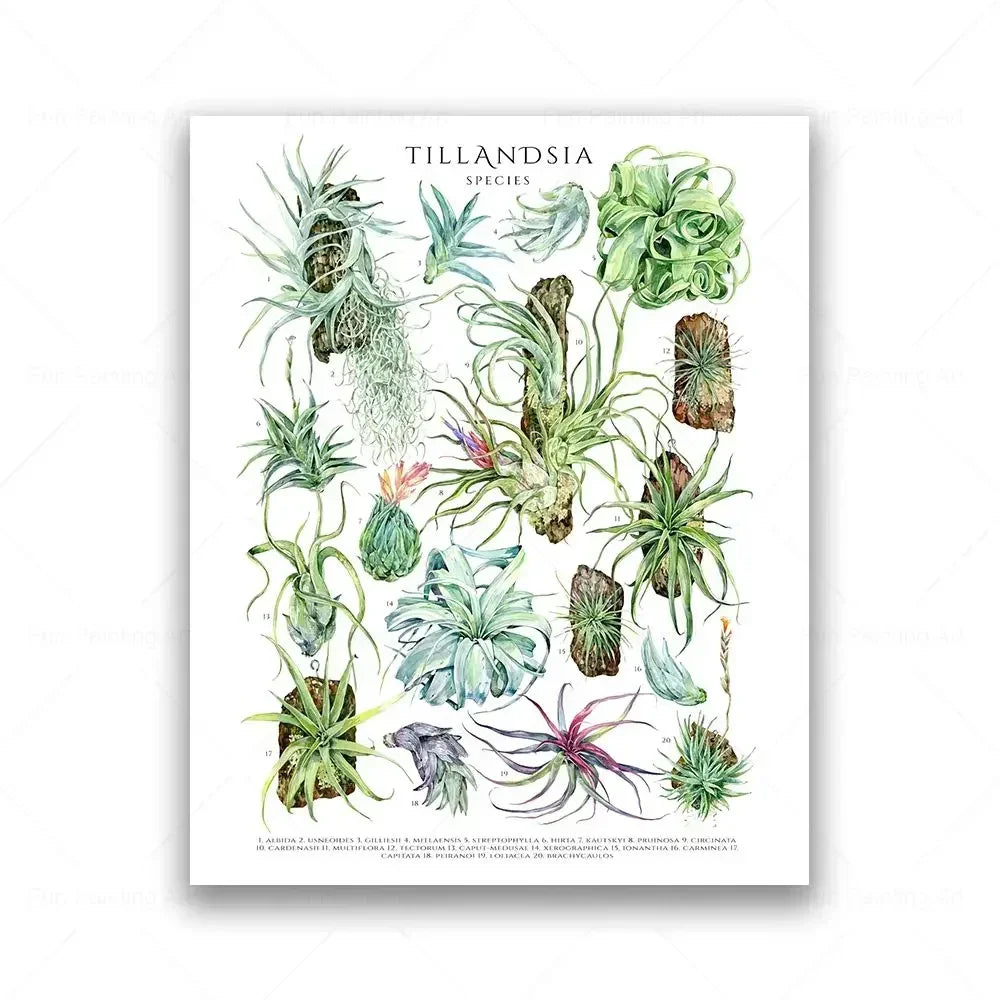 Botanical House Plant Canvas Painting Educational Poster Leaves Print Wall Art Picture Kids Room Decor Plant Lovers GiftBotanica