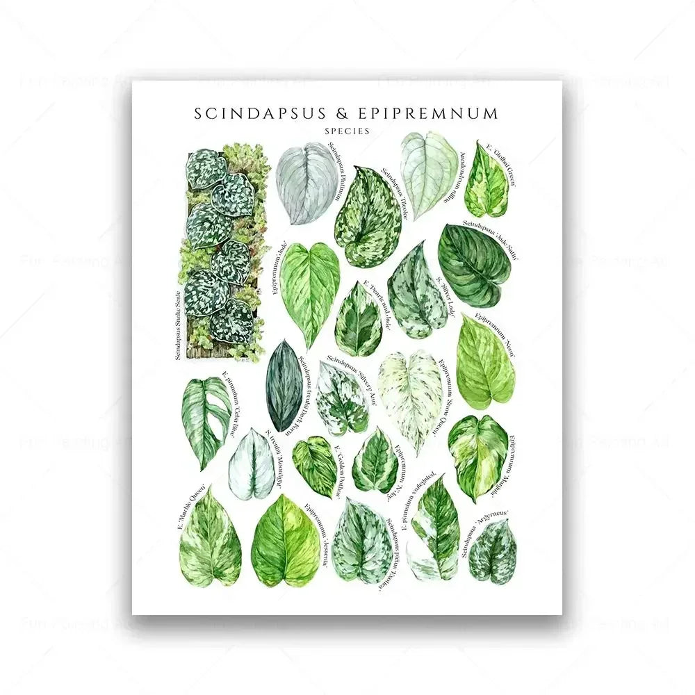 Botanical House Plant Canvas Painting Educational Poster Leaves Print Wall Art Picture Kids Room Decor Plant Lovers GiftBotanica