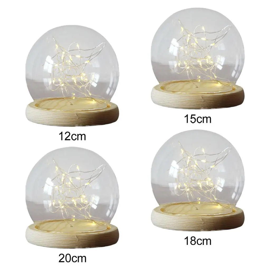 Glass Dome Cloche Bell Clear with Wood Base Display Case Mini for Plants