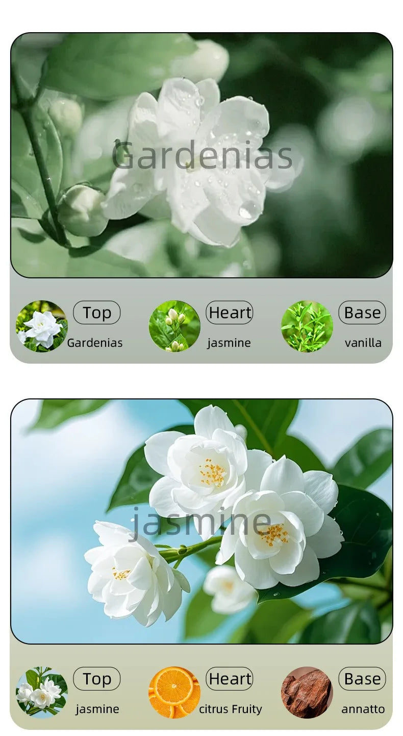 Car Perfume Air Freshener Essential Oil Fragrance Diffuser Smell Distributor USB Rechargeable Aromatherapy Scent Air Refresher