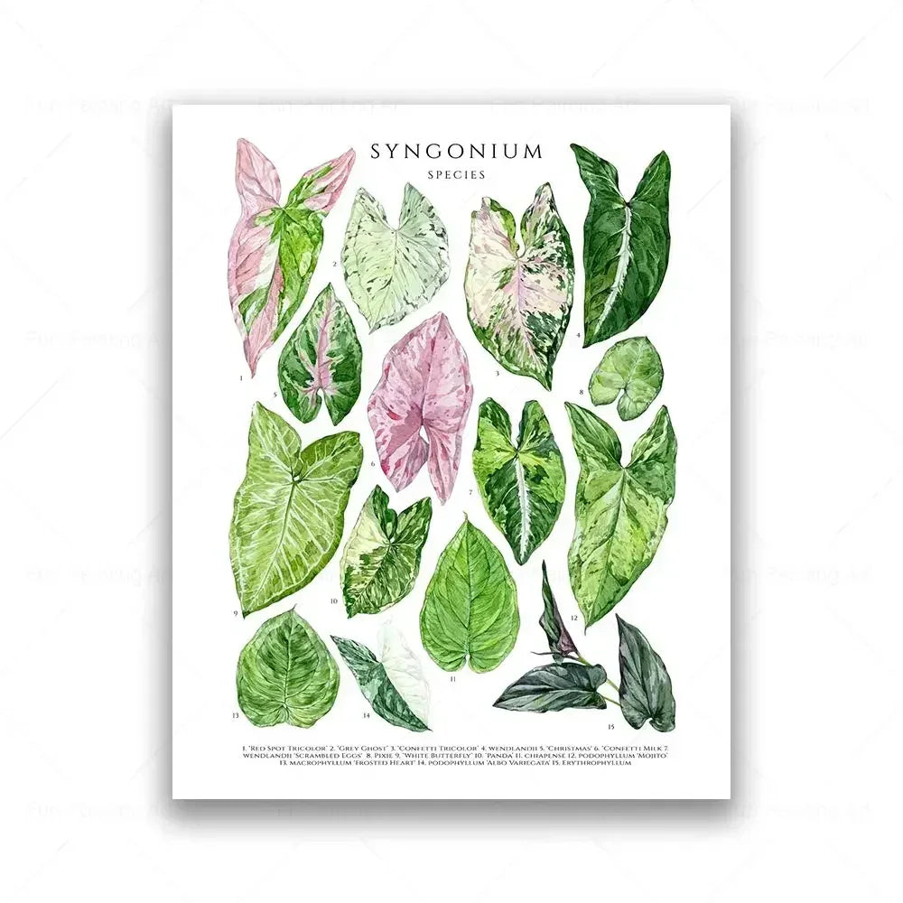Botanical House Plant Canvas Painting Educational Poster Leaves Print Wall Art Picture Kids Room Decor Plant Lovers GiftBotanica