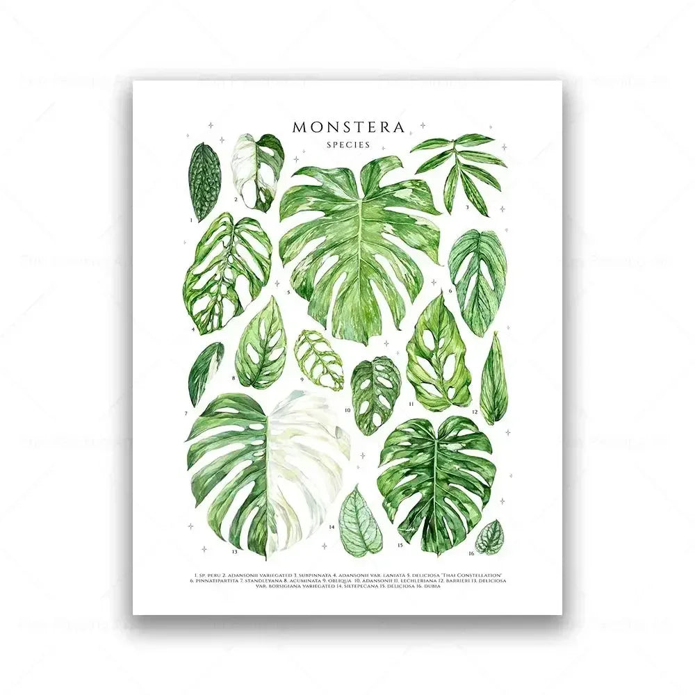 Botanical House Plant Canvas Painting Educational Poster Leaves Print Wall Art Picture Kids Room Decor Plant Lovers GiftBotanica