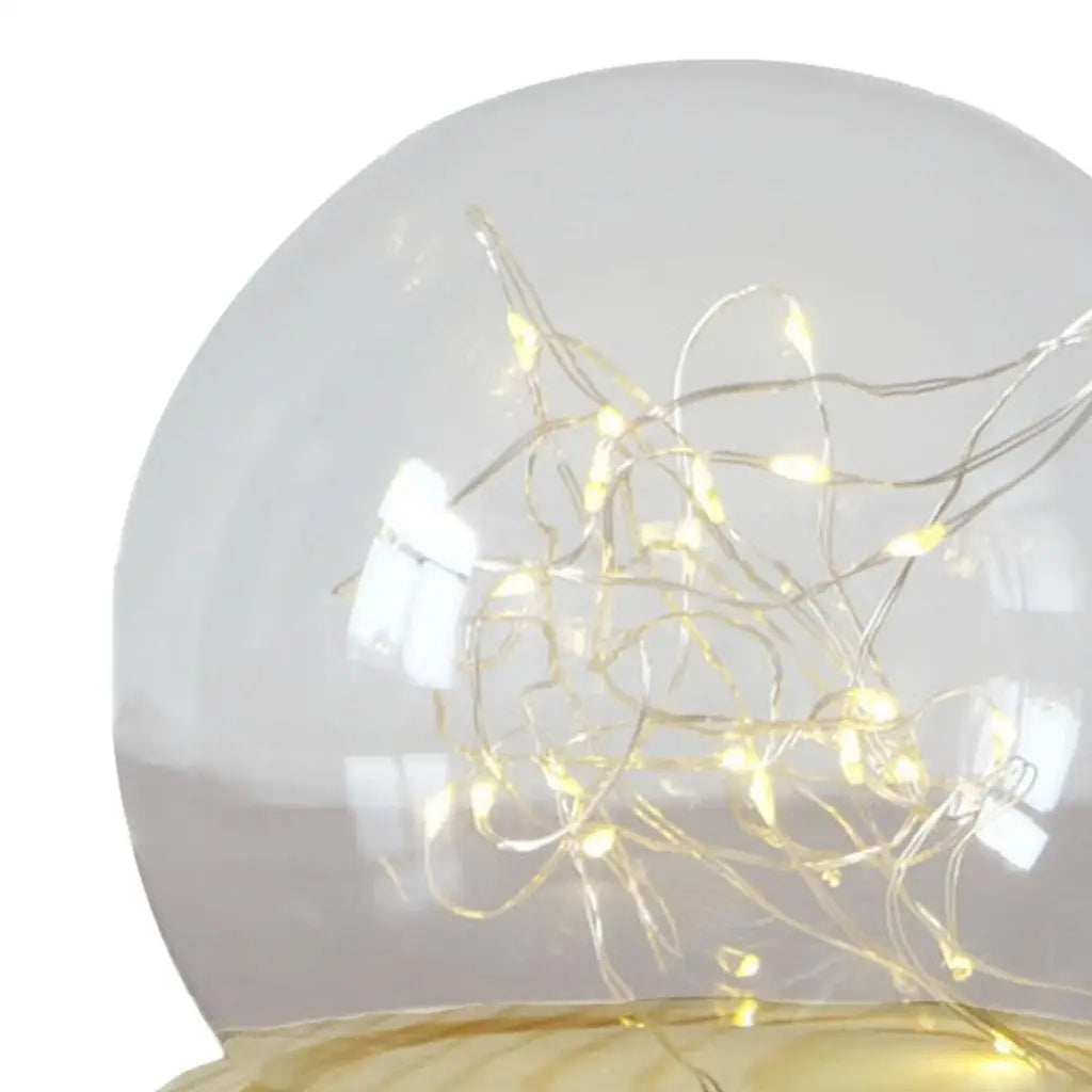 Glass Dome Cloche Bell Clear with Wood Base Display Case Mini for Plants